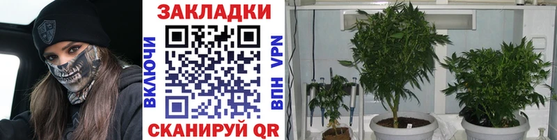 Все наркотики Медвежьегорск Канабис  Мефедрон  Cocaine  АМФЕТАМИН  ГЕРОИН  ГАШИШ 
