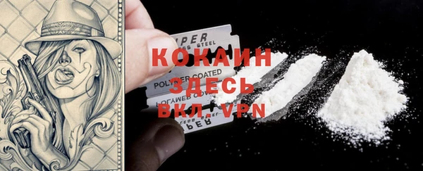 spice Кодинск